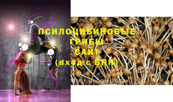 индика Абдулино