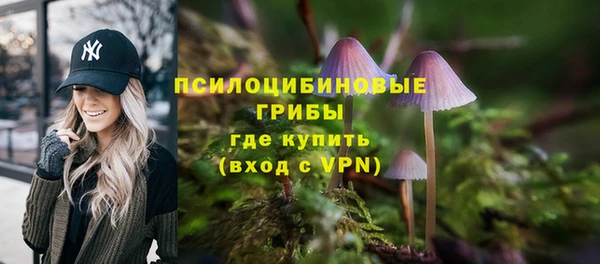 первитин Абаза