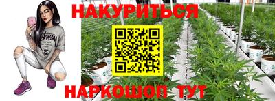 спайс Гусь-Хрустальный