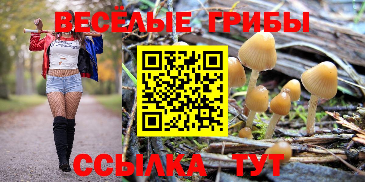 Галлюциногенные грибы MAGIC MUSHROOMS  Псилоцибиновые грибы ЛСД  Вход с VPN  Зерноград 